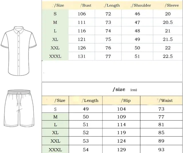 Men's Casual Short Sleeve Lapel Shirt And  Shorts Set